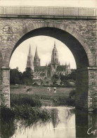 14 - Bayeux - La Cathédrale - Vaches - Mention Photographie Véritable - Carte Dentelée - CPSM Grand Format - Carte Neuve - Bayeux