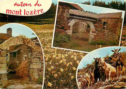 48 - Lozère - Multivues - Chèvres - CPM - Voir Scans Recto-Verso - Autres & Non Classés