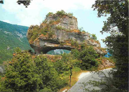 48 - Les Gorges Du Tarn - Le Sabot De Malepeyre Situé Entre La Canourgue Et Les Gorges Du Tarn - CPM - Voir Scans Recto- - Gorges Du Tarn