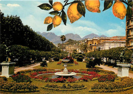 06 - Menton - Le Jardin Public Et Les Montagnes De Sainte-Agnès - Citrons - CPM - Carte Neuve - Voir Scans Recto-Verso - Menton