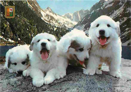 Animaux - Chiens - Chien Des Pyrénées - Chiots - Blasons - Montagnes - CPM - Voir Scans Recto-Verso - Hunde