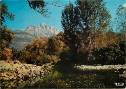 31 - Haute Garonne - Pic Du Gar - CPM - Voir Scans Recto-Verso - Other & Unclassified