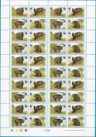 Pakistan : W.W.F Himalayan Black Bear Full Sheet - Pakistan