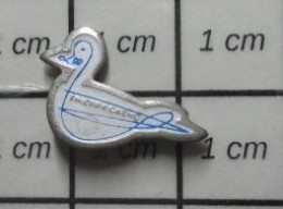 812G Pin's Pins / Beau Et Rare / ANIMAUX / OISEAU CANARD ? THIERRY CAGNE ? - Dieren