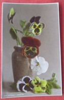 Pansies   Ref 6406 - Blumen