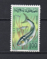 MAROC N°  516     NEUF SANS CHARNIERE  COTE 3.00€    POISSON ANIMAUX FAUNE - Marruecos (1956-...)