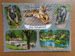 Zoo, Dierenpark, Tierpark / Zoo Wuppertal --> Written 1956 - Other & Unclassified