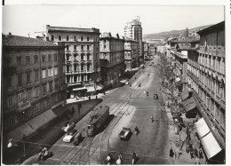 23 -  Trieste - Rue Carducci - Trieste (Triest)