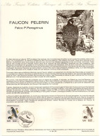 - Document Premier Jour Les Rapaces : LE FAUCON PELERIN - PARIS 22.9.1984 - - Eagles & Birds Of Prey