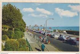 8AK4021 WESTERN PARADE AND CLIFF GARDENS WESTCLIFF ON SEA VOITURES  2 SCANS - Altri & Non Classificati