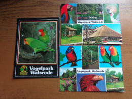 Zoo, Dierenpark, Tierpark / 9 Karten, Vogelpark Walsrode - Birds