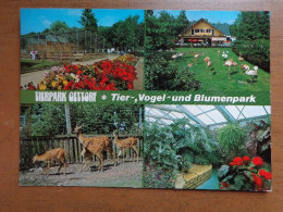 Zoo, Dierenpark, Tierpark / Tierpark Gettorf, Tier, Vogel Und Blumenpark --> Written - Andere & Zonder Classificatie