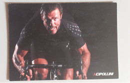 Mario Cipollini MCipollini - Cyclisme