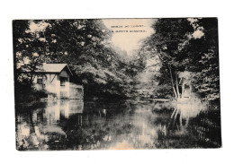 CPA - 45 - OLIVET Environs - La MOTTE MINSARD - Bords Du Loiret - Vers 1910 - Pas Courant - Autres & Non Classés