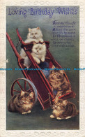 R042931 Greetings. Loving Birthday Wishes. Kittens. W. And K - World