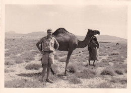 Photo Guerre Algerie Militaire Du 4 Eme R.C.C. Desert Dromadaire - Africa