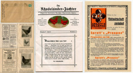 Germany 1927 Cover & Journal; Leipzig - Verband Deutscher Rhodeländer-Züchter (Chickens); 5pf. Friedrich Von Schiller - Covers & Documents