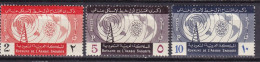 Radio-Ryad - Saudi-Arabien