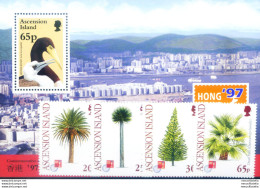 "Hong Kong '97". - Ascension (Ile De L')