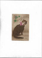 Carte Postale Ancienne  Porte Bonheur Tête De Femme Dans Un Corps De Chat - Altri & Non Classificati