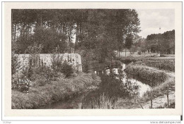 Essonne 91 - CPA SAULX Les CHARTREUX - L' Yvette Au Moulin - Other & Unclassified