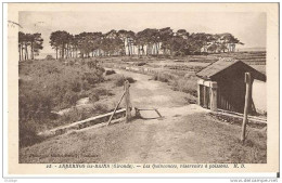 Gironde 33 - CPA ANDERNOS Les BAINS - Les Quinconces, Réservoirs à Poissons - Andernos-les-Bains