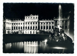 WIEN - Château De Schoenbrunn - Palacio De Schönbrunn