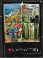 California, Sonoma County, Wine, Redwoods, Used 1994 - Sonstige & Ohne Zuordnung