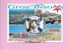 CP - PALAVAS-LES-FLOTS - Plusieurs Et Chat - Palavas Les Flots