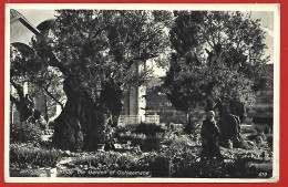 Jérusalem Inside The Garden Of Gethsemane L'intérieur Du Jardin De Gethsemani 2scans 19-04-1933 Timbre Palestine - Israël