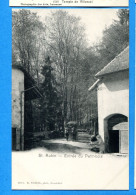 VIX101, St. Aubin, Animée, Entrés Du Petit-bois, Calèche, 442, Précurseur, Non Circulée - Saint-Aubin/Sauges