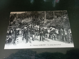 B1/263- Environs De BELFORT - Un Attelage Dans La Forêt - Belfort - Stadt