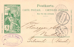 Frauenfeld -Friedtal Büchi & Sohn Firmen Gewerbestempel Besonderheiten - Stamped Stationery