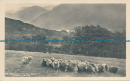 R042940 Gathering The Fell Sheep. Abraham. No 591. RP - World