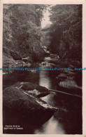 R042956 Fairy Glen. Bettws Y Coed - World