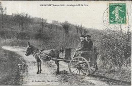 PIERREFITTE EN AUGE Attelage De M. Le Curé - Sonstige & Ohne Zuordnung