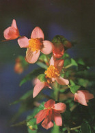 FLOWERS Vintage Postcard CPSM #PAR288.A - Fleurs