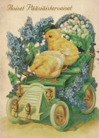 PASQUA POLLO UOVO Vintage Cartolina CPSM #PBO648.A - Pâques