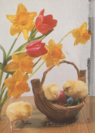 OSTERN HUHN EI Vintage Ansichtskarte Postkarte CPSM #PBO625.A - Easter