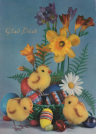 EASTER CHICKEN EGG Vintage Postcard CPSM #PBO581.A - Pasen