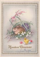 PASQUA CONIGLIO Vintage Cartolina CPSM #PBO413.A - Pasen