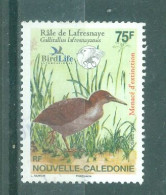 NOUVELLE-CALEDONIE - N°980 Oblitéré - Faune. Oiseaux De Nouvelle-Calédonie En Voie De Disparition. - Gebraucht