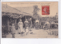 LOUHANS: Gaudillat Jeune, Exportation De Fruits, Légumes Et Primeurs - Très Bon état - Louhans