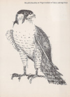 PÁJARO Animales Vintage Tarjeta Postal CPSM #PAN408.A - Birds