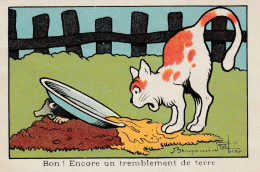 CPA  Image Style Bon-point 7x10,5 Animaux Chat Taupe Tremblement De Terre Cat Mole Illustrateur B.RABIER - Rabier, B.