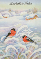 UCCELLO Animale Vintage Cartolina CPSM #PAN004.A - Birds
