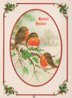 BIRD Animals Vintage Postcard CPSM #PAM911.A - Vogels