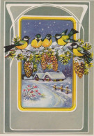 UCCELLO Animale Vintage Cartolina CPSM #PAM783.A - Vögel
