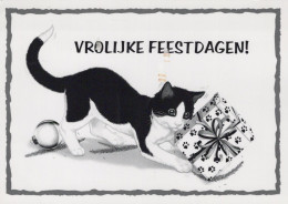 CAT KITTY Animals Vintage Postcard CPSM #PAM626.A - Katzen