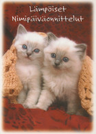 GATO GATITO Animales Vintage Tarjeta Postal CPSM #PAM572.A - Cats